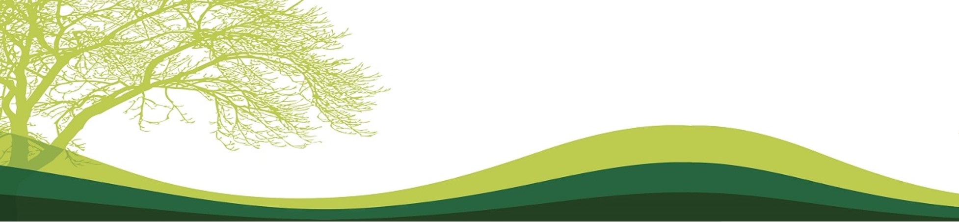 Banner con motivo de arbol y montañas todo en tonalidades verdes