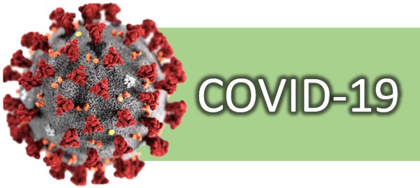 Imagen de boton para acceder a la información COVID-19