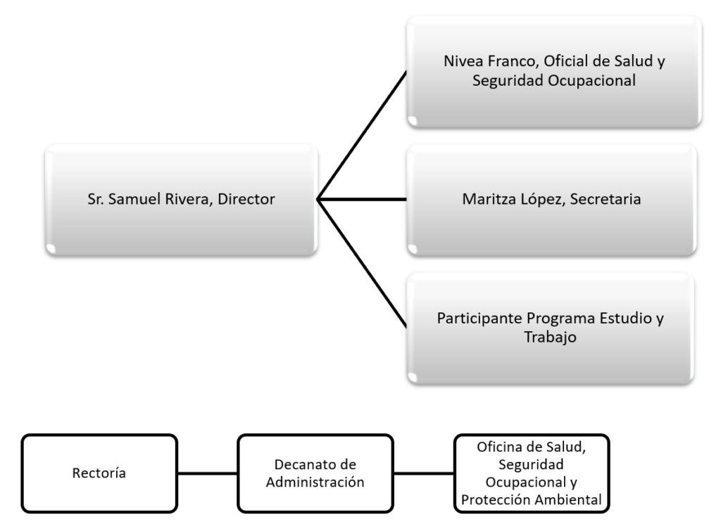 Imagen de Organigrama Oficina de Salud, Seguridad Ocupacional y Protección Ambiental en la UPR Cayey