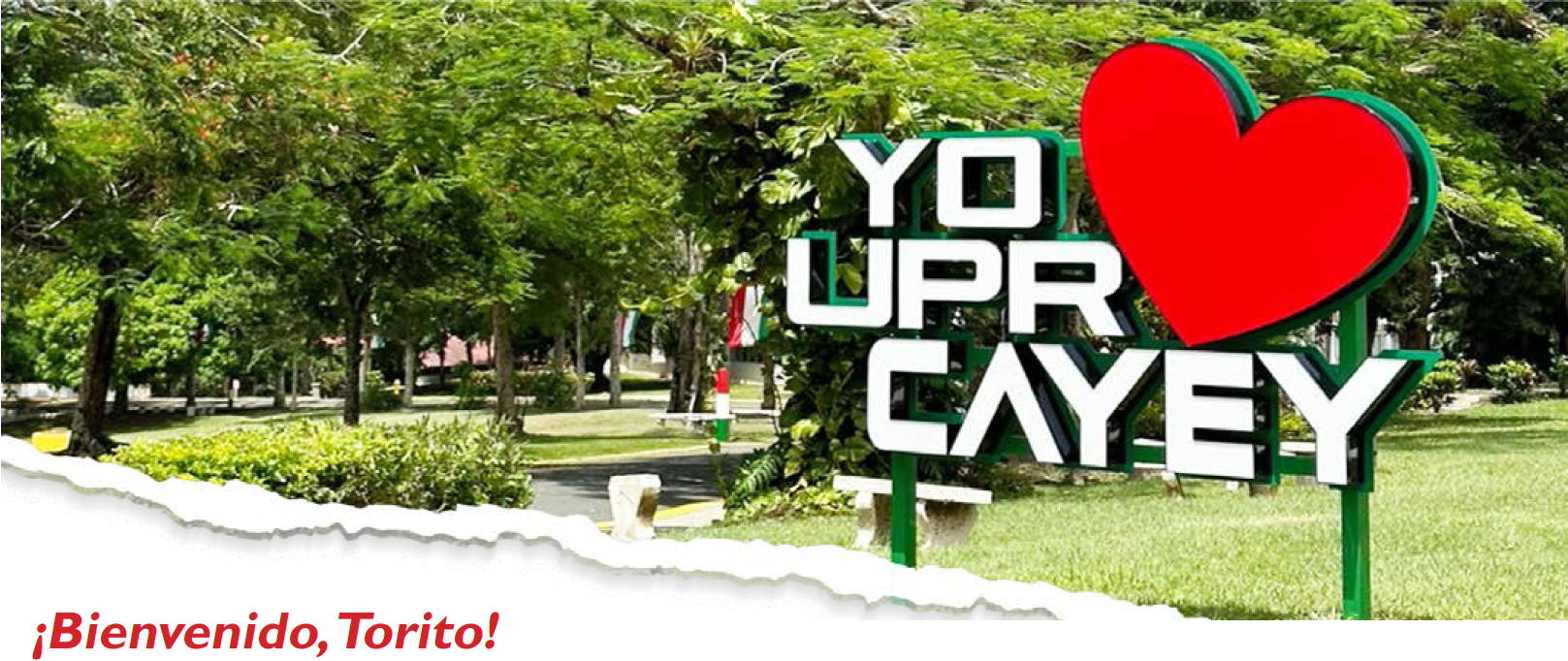 Banner Bienvenida a Estudiantes de Nuevo Ingreso