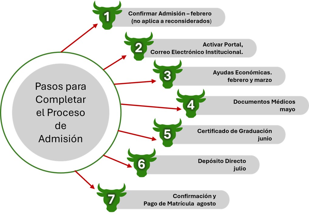 Imagen de Organigrama procesos de matrícula